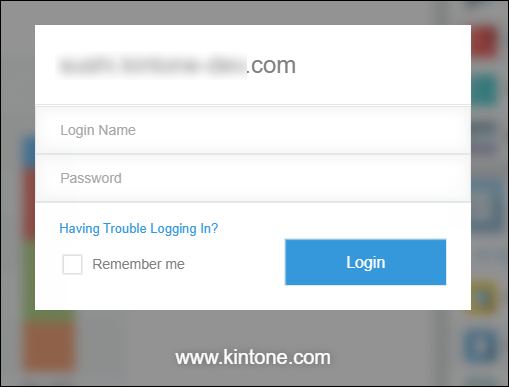 Screenshot: Login Name and Password fields are displayed
