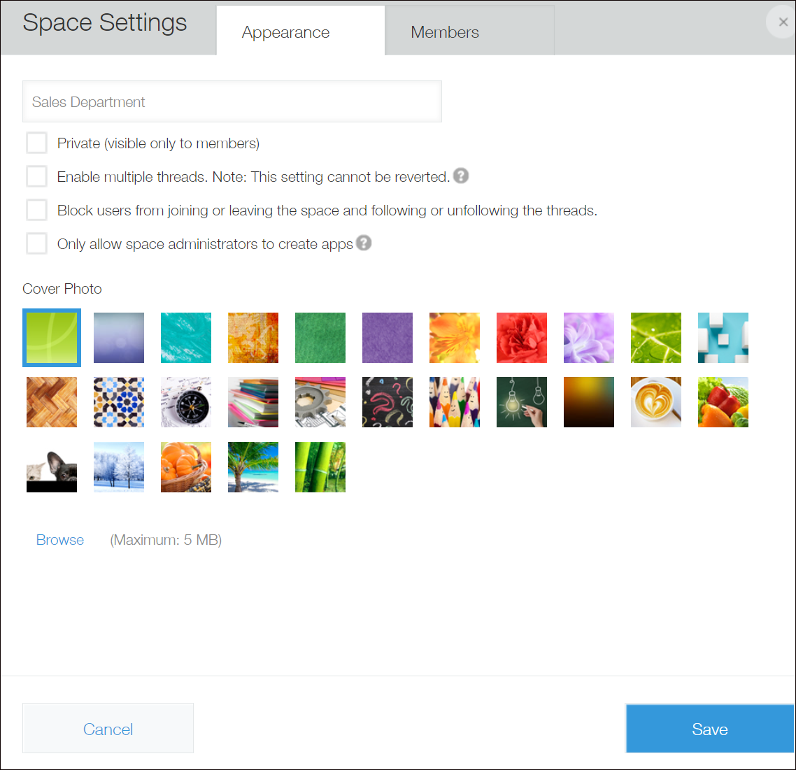 Screenshot: The "Appearance" tab on the "Space Settings" dialog