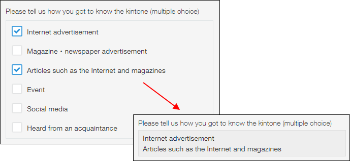 Screenshot: An example of a "Check box" field