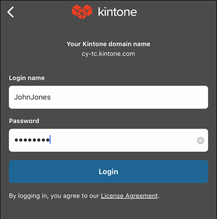 Screenshot: The screen for entering a login name and password