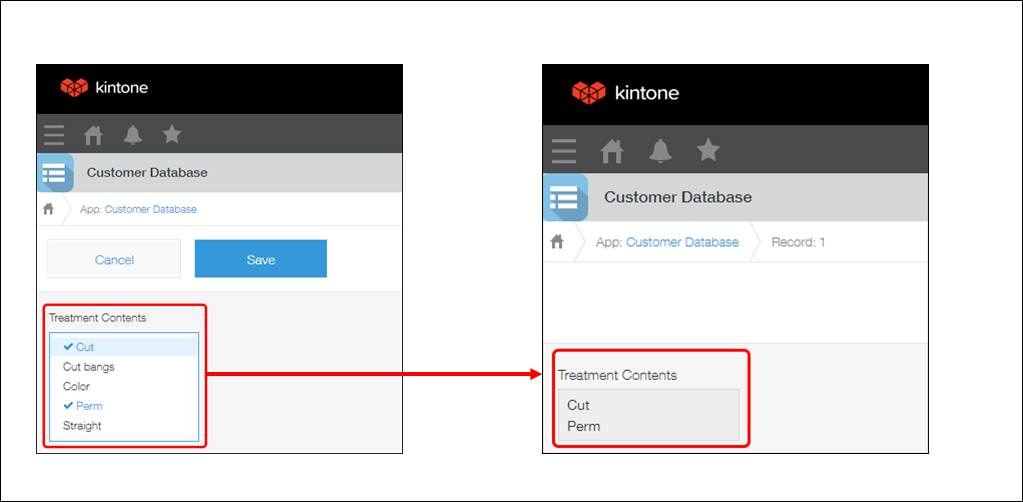 Screenshot: Example of a "Multi-choice" field in an app