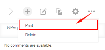 Screenshot: "Print" is outlined in red