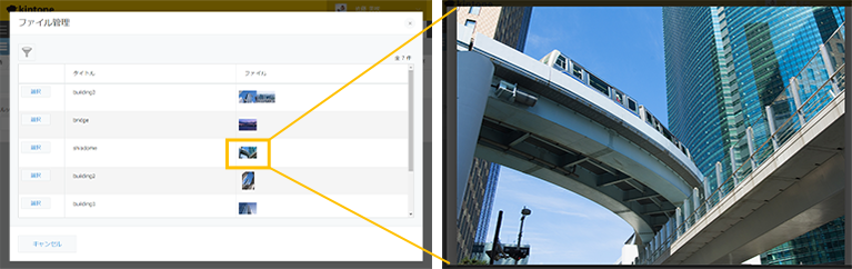 ルックアップの選択ダイアログで画像を拡大できるように変更